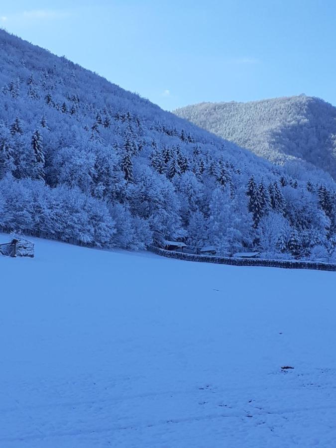 Pensiunea Natura Sadu Sibiu Dış mekan fotoğraf