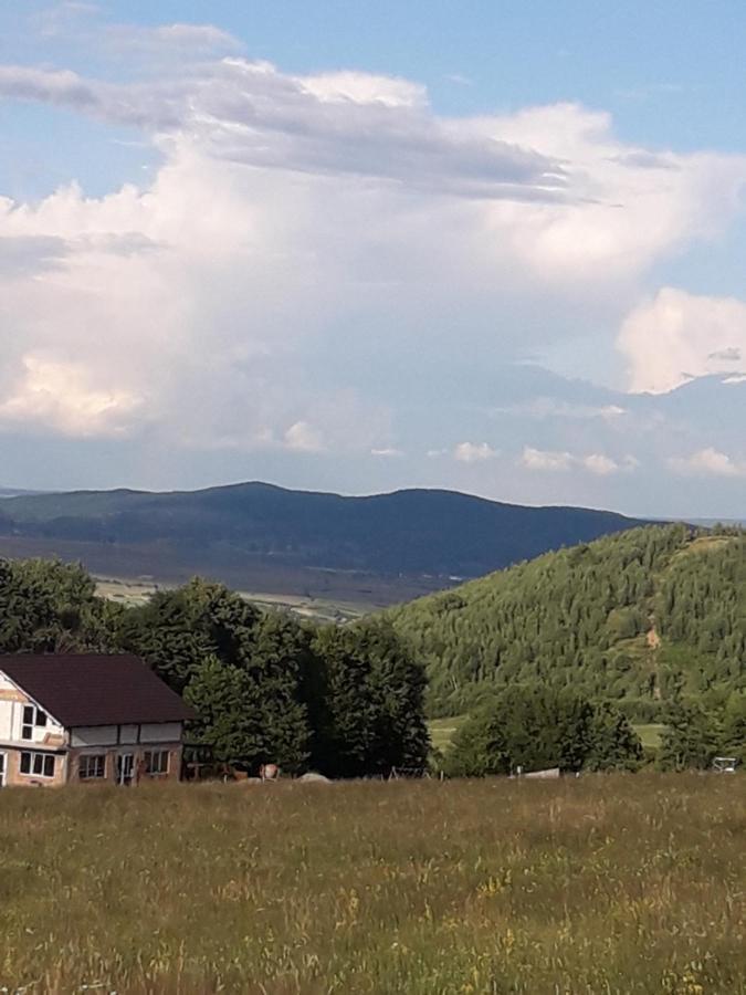 Pensiunea Natura Sadu Sibiu Dış mekan fotoğraf