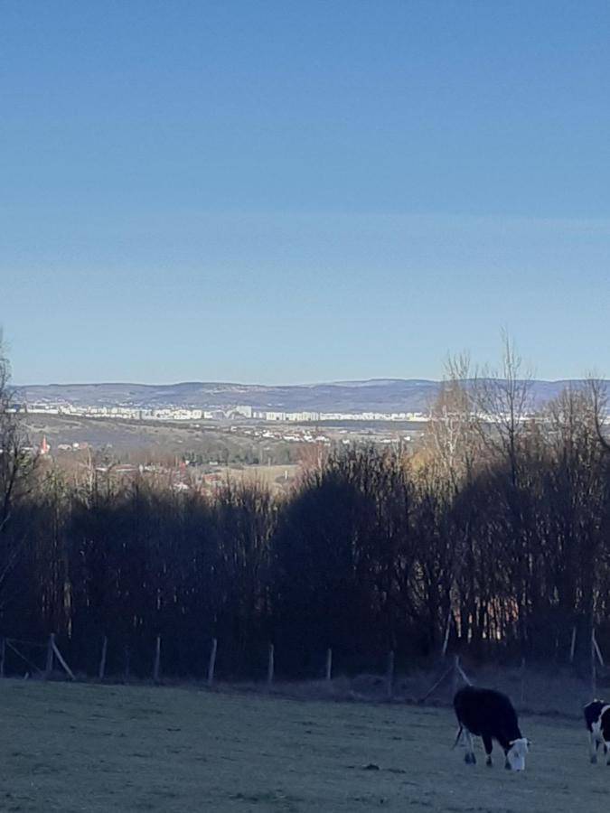 Pensiunea Natura Sadu Sibiu Dış mekan fotoğraf