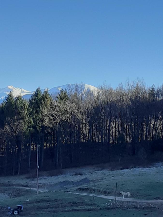 Pensiunea Natura Sadu Sibiu Dış mekan fotoğraf