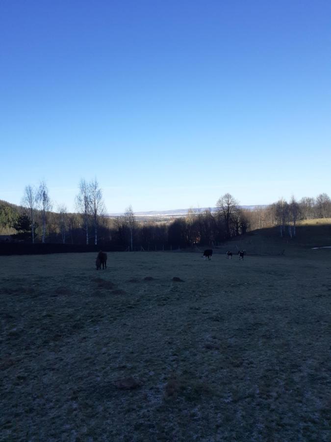 Pensiunea Natura Sadu Sibiu Dış mekan fotoğraf