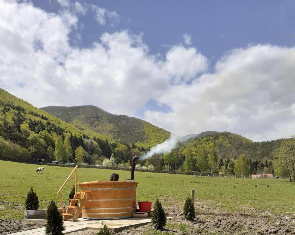 Pensiunea Natura Sadu Sibiu Dış mekan fotoğraf