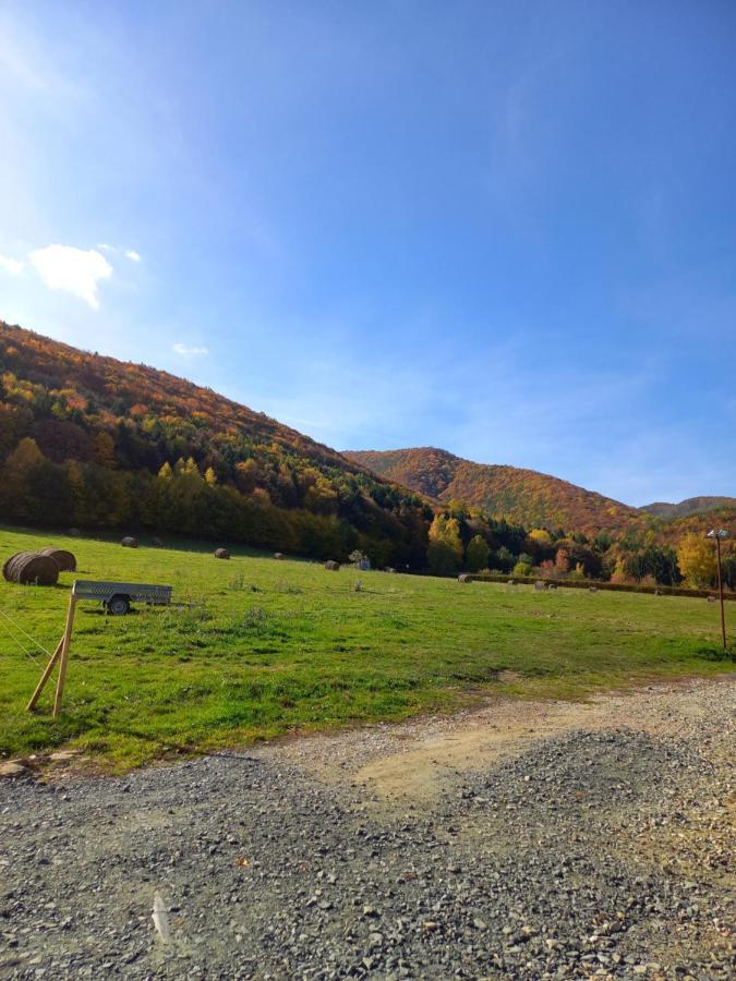 Pensiunea Natura Sadu Sibiu Dış mekan fotoğraf
