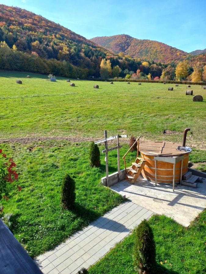 Pensiunea Natura Sadu Sibiu Dış mekan fotoğraf