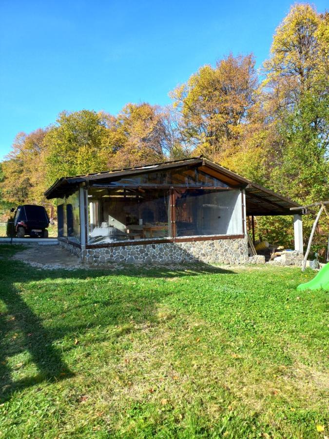 Pensiunea Natura Sadu Sibiu Dış mekan fotoğraf