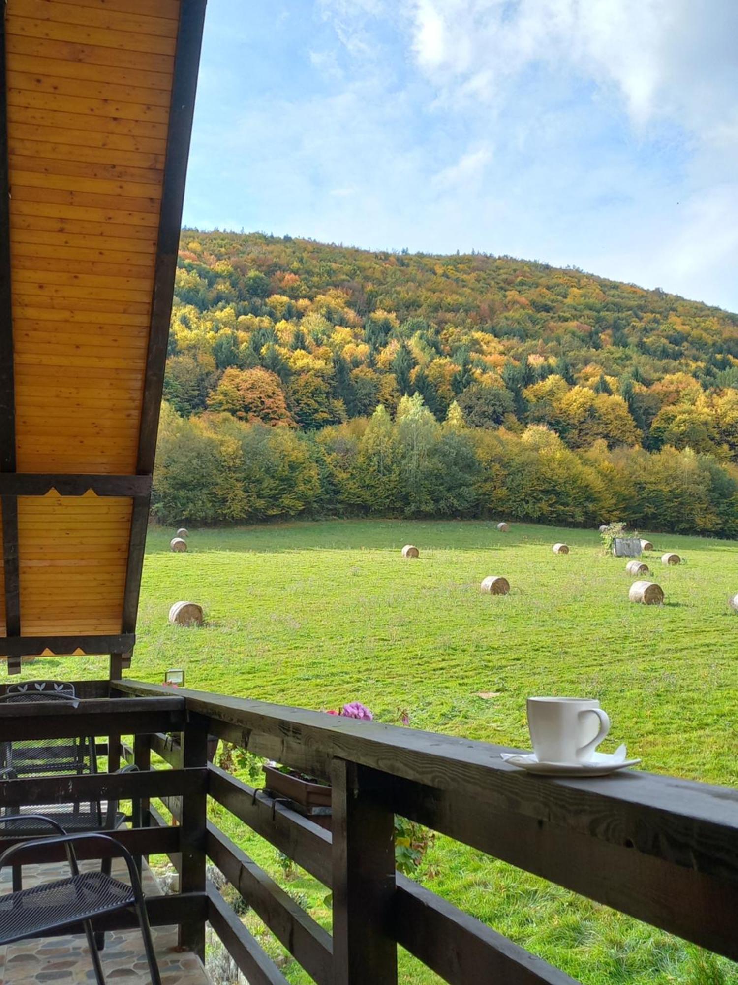 Pensiunea Natura Sadu Sibiu Dış mekan fotoğraf