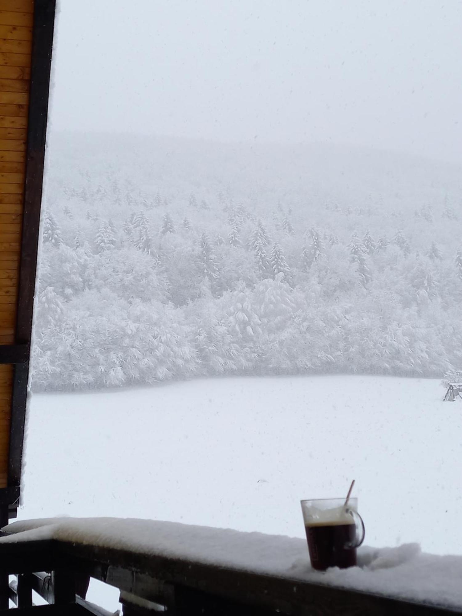 Pensiunea Natura Sadu Sibiu Dış mekan fotoğraf
