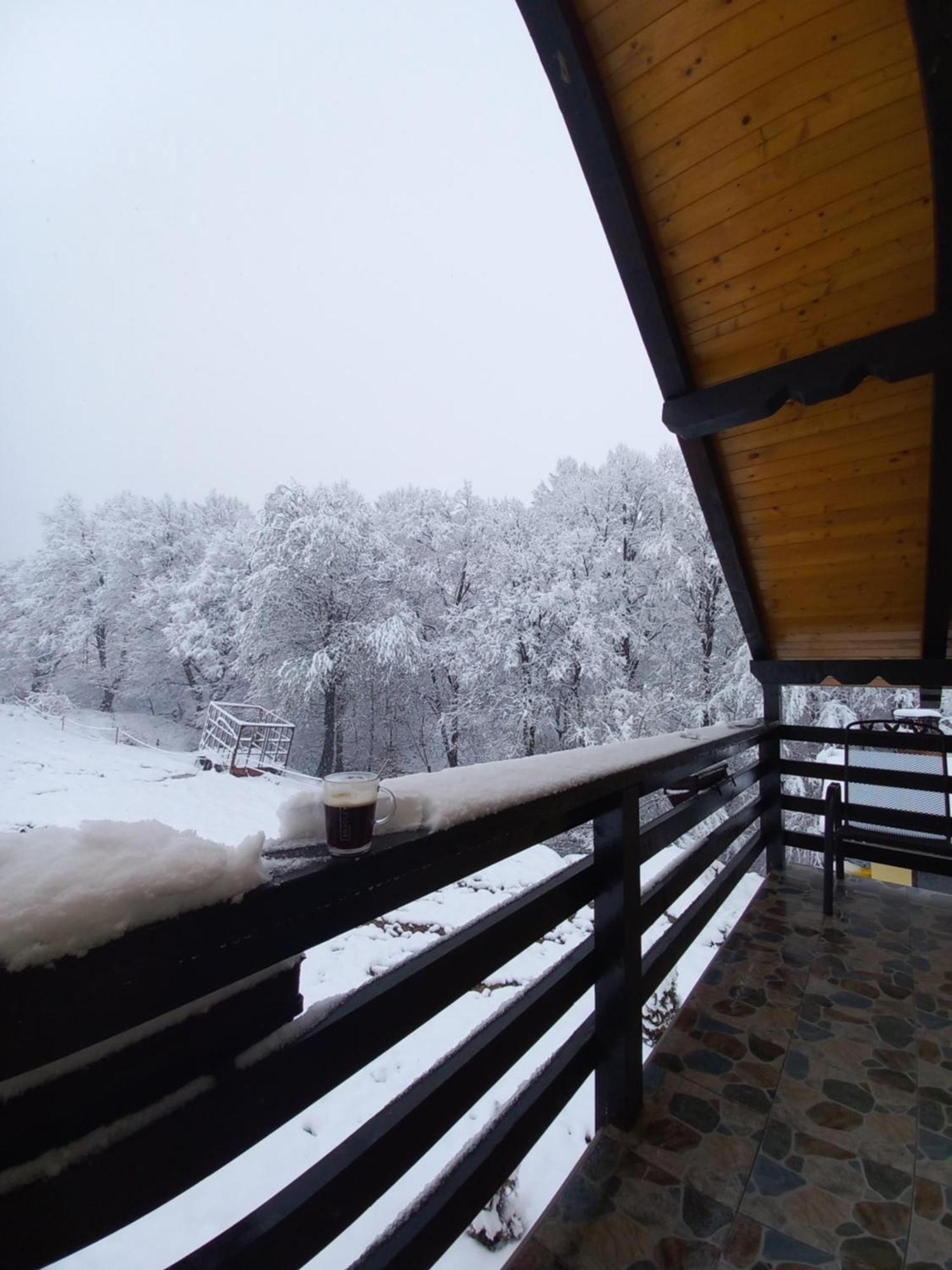 Pensiunea Natura Sadu Sibiu Dış mekan fotoğraf