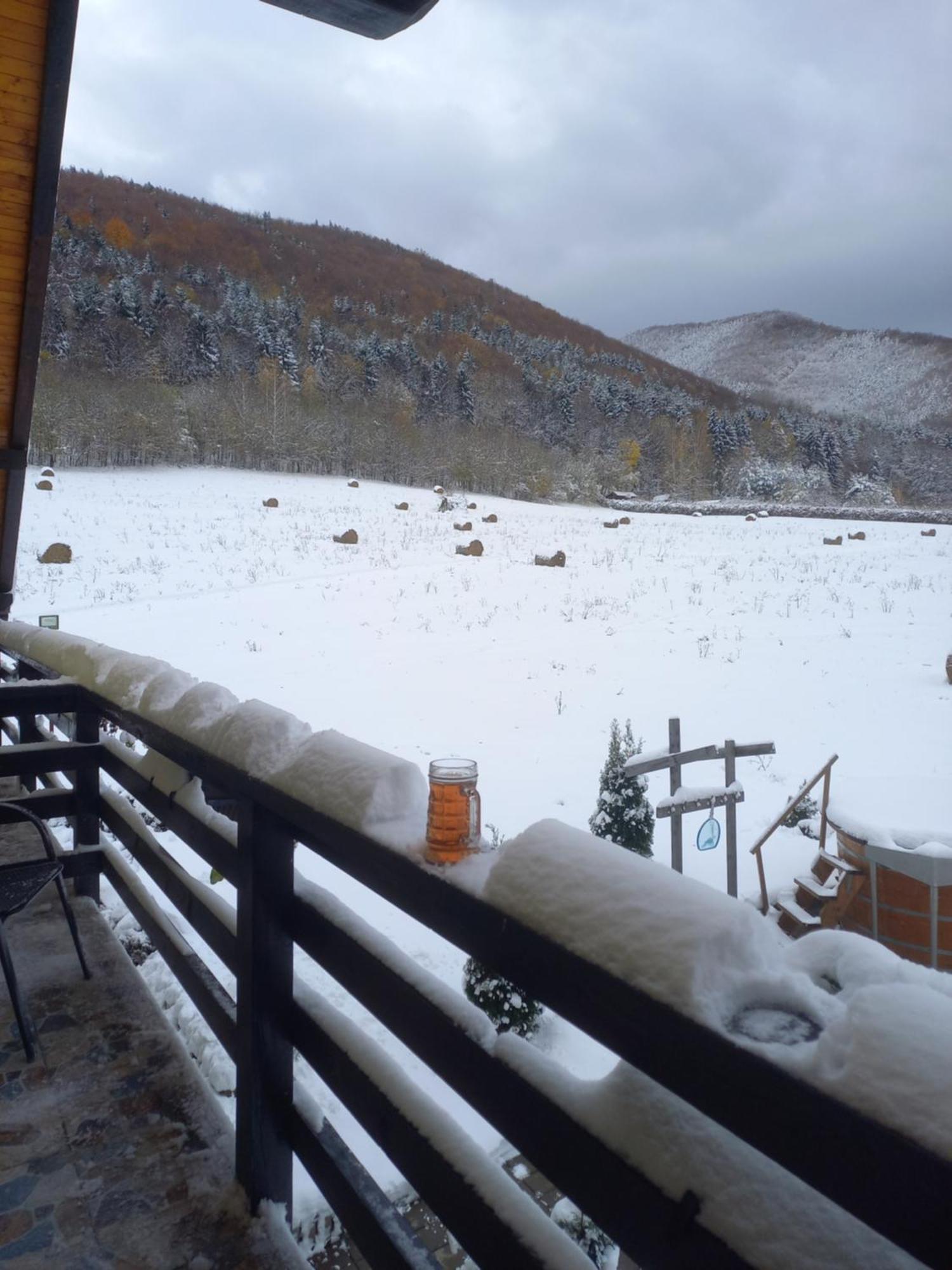 Pensiunea Natura Sadu Sibiu Dış mekan fotoğraf